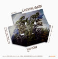 A Pacifying Weapon / OUR Recordings A Pacifying Weapon / OUR Recordings