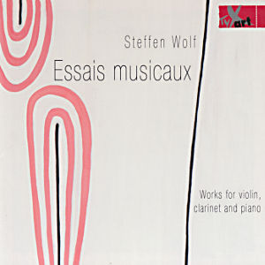 Steffen Wolf, Essais musicaux