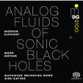 Moor Mother, Analog Fluids of Sonic Black Holes