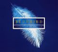 Bluebird – Voices from Heaven, Werke von Rutter, Stanford, Casals, Händel, Grieg, Finzi, Fauré, Tavener / Decca Bluebird – Voices from Heaven, Werke von Rutter, Stanford, Casals, Händel, Grieg, Finzi, Fauré, Tavener / Decca