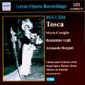 Great Opera Recordings / Naxos Great Opera Recordings / Naxos