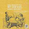 Was machst du mit dem Knie, lieber Brahms? Pianistische Parodien im Stil großer Meister / Edition Ohrwurm Was machst du mit dem Knie, lieber Brahms? Pianistische Parodien im Stil großer Meister / Edition Ohrwurm