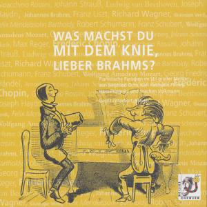 Was machst du mit dem Knie, lieber Brahms? Pianistische Parodien im Stil großer Meister / Edition Ohrwurm Was machst du mit dem Knie, lieber Brahms? Pianistische Parodien im Stil großer Meister / Edition Ohrwurm