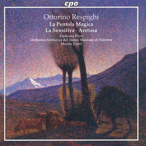 / cpo / cpo