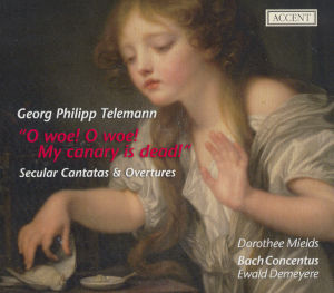 Georg Philipp Telemann, O woe! O woe! My canary is dead! / Accent