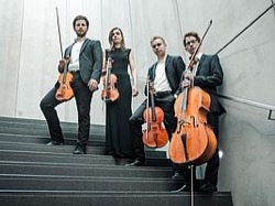 Adelphi Quartett, Foto: Daniel Egielman