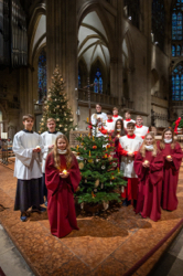 Buben und Mädchen der Domspatzen im Dom, Foto: Michael Vogl/Domspatzen