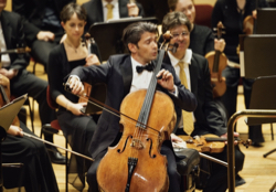 Gautier Capucon, Foto: Oliver Tillig