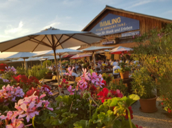 Impression vom Immling Festival, Foto: Christine Unterseer