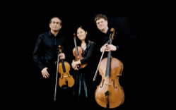 Morpheus Streichtrio, Foto: Frank Jerke