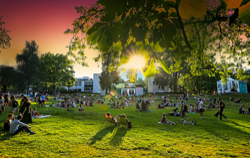 Park Sounds im Essener Stadtgarten, Foto: Sven Lorenz / TUP