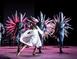 Szene aus Jolanthe und Der Nussknacker an der Wiener Volksoper, Foto: Ashley Taylor