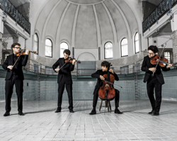 Vision String Quartet, Foto: Tim Kloeckner